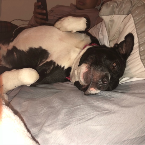 Meet your Posher, Kiara - Picture 5 of 5